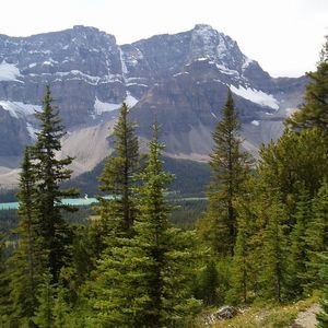 Meet your Posher, Robin